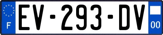 EV-293-DV