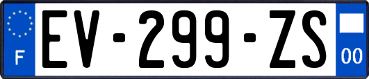 EV-299-ZS