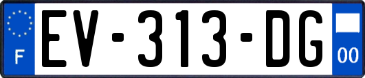 EV-313-DG