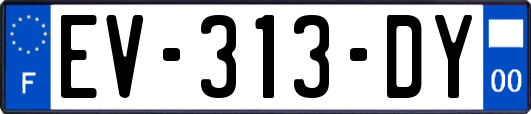 EV-313-DY