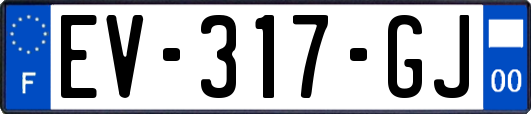 EV-317-GJ