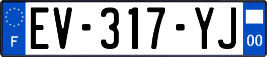 EV-317-YJ