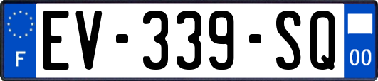 EV-339-SQ