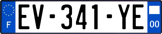 EV-341-YE