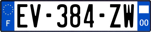 EV-384-ZW