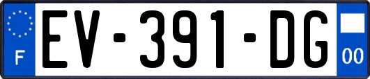 EV-391-DG