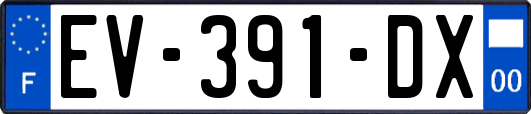 EV-391-DX