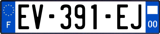 EV-391-EJ