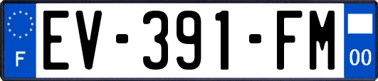 EV-391-FM