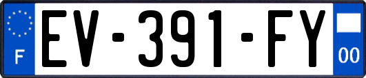 EV-391-FY