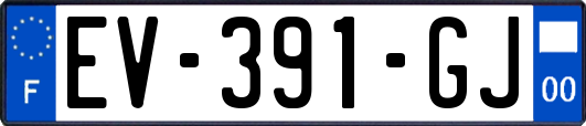 EV-391-GJ