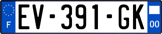EV-391-GK