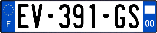 EV-391-GS