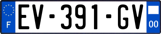 EV-391-GV