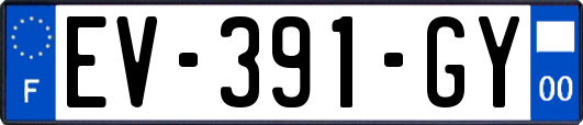 EV-391-GY