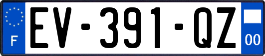 EV-391-QZ