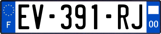 EV-391-RJ