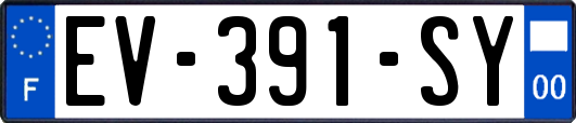 EV-391-SY