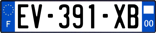 EV-391-XB
