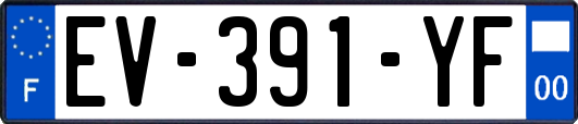 EV-391-YF