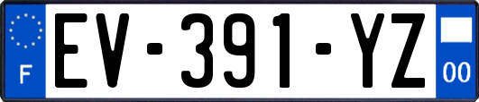 EV-391-YZ