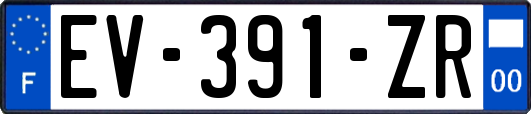 EV-391-ZR