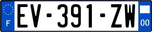 EV-391-ZW