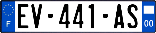EV-441-AS