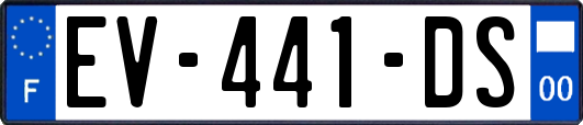 EV-441-DS