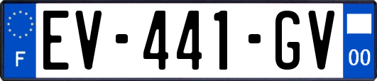 EV-441-GV