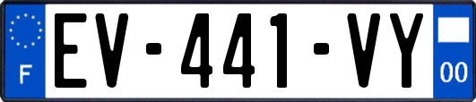 EV-441-VY