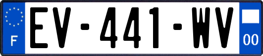 EV-441-WV