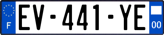 EV-441-YE