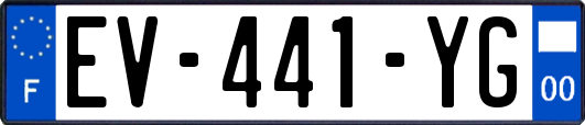 EV-441-YG