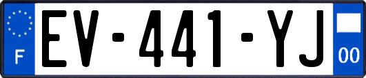EV-441-YJ
