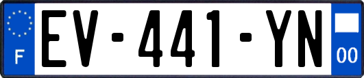 EV-441-YN