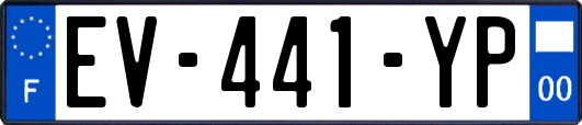 EV-441-YP