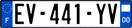 EV-441-YV