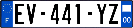 EV-441-YZ