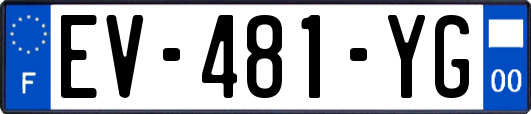 EV-481-YG