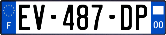 EV-487-DP