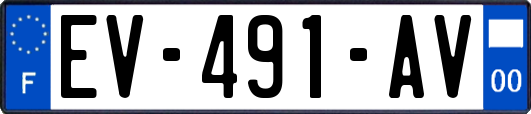 EV-491-AV