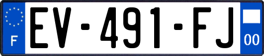 EV-491-FJ