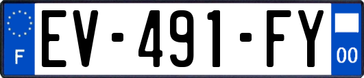 EV-491-FY