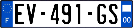 EV-491-GS