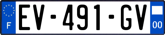 EV-491-GV