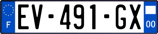 EV-491-GX