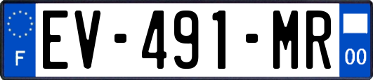 EV-491-MR