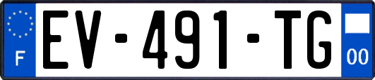 EV-491-TG