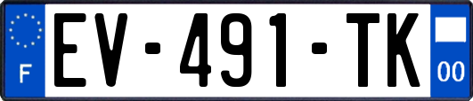 EV-491-TK